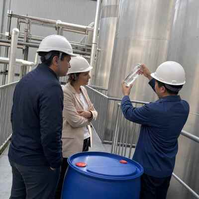 Sorbitol Liquid 70% Multi Grade, Food Cosmetic and Pharmaceutical Grade Non-Crystallizing Sweetener, USP BP EP, Bulk